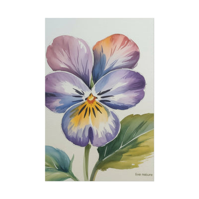 Violet Pansy Watercolor Art Print - Live Nature Design