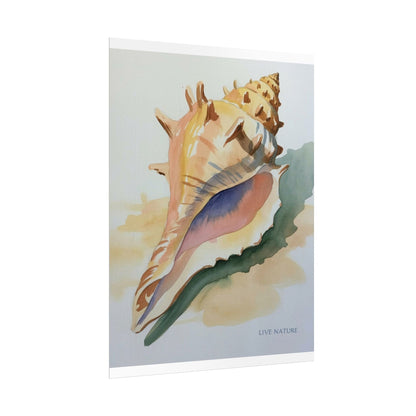 Conch Shell Watercolor Print 'Live Nature' Design