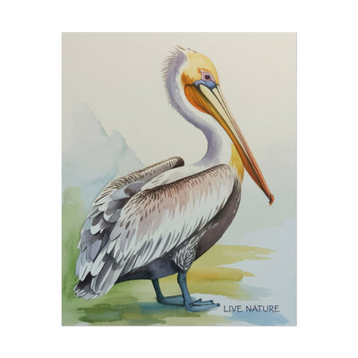 Pelican Watercolor Art Print 'Live Nature' Design