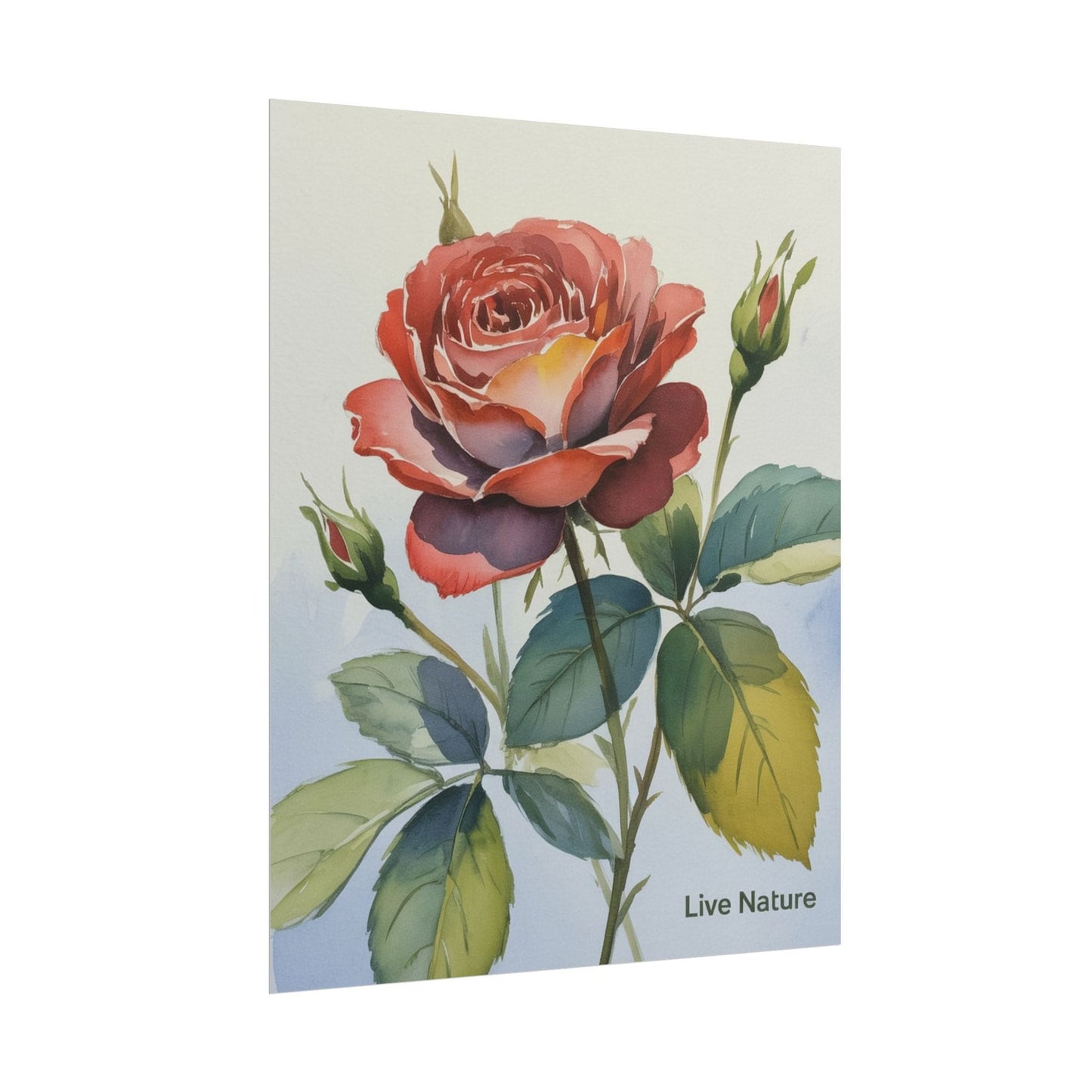 Live Nature Watercolor Rose Art Print Poster