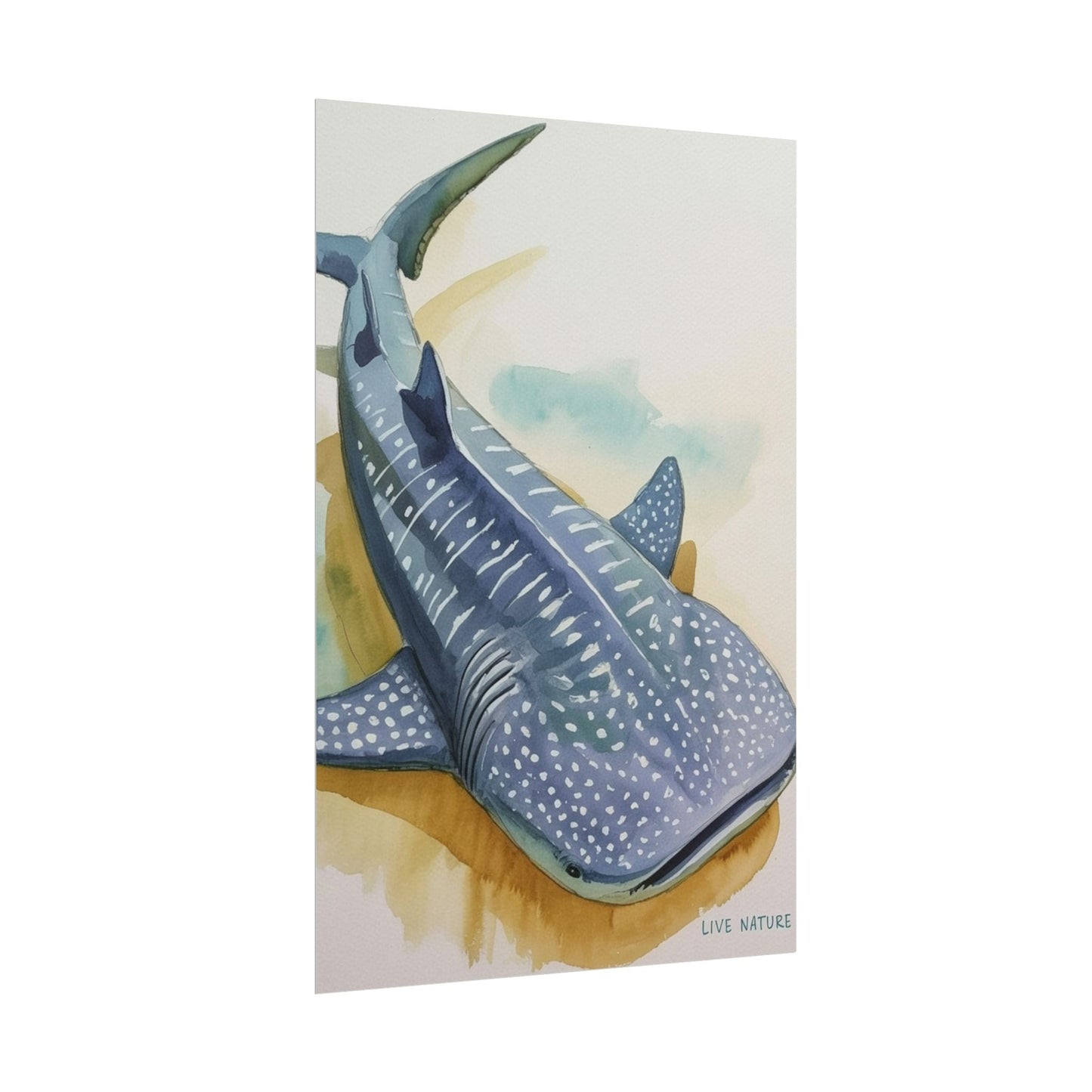 Whale Shark Watercolor Print Live Nature Design