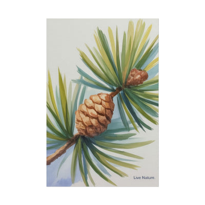 Maine Pine Cone Watercolor Print - Live Nature Art