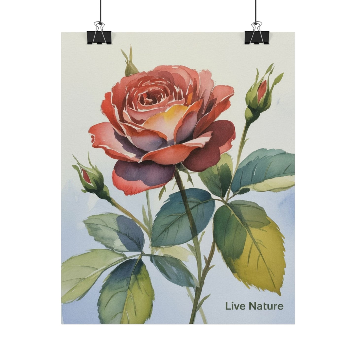 Live Nature Watercolor Rose Art Print Poster