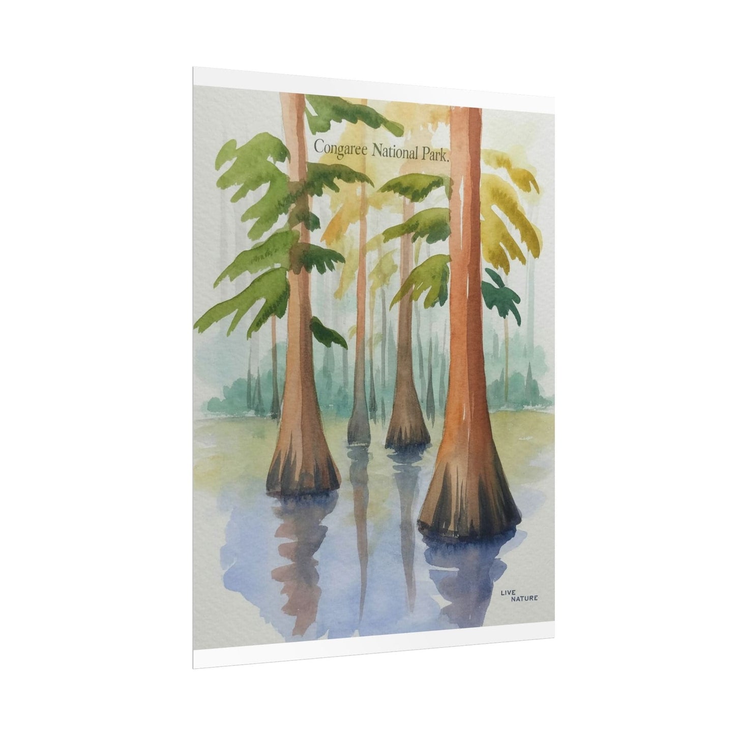 Congaree National Park Cypress Watercolor Poster