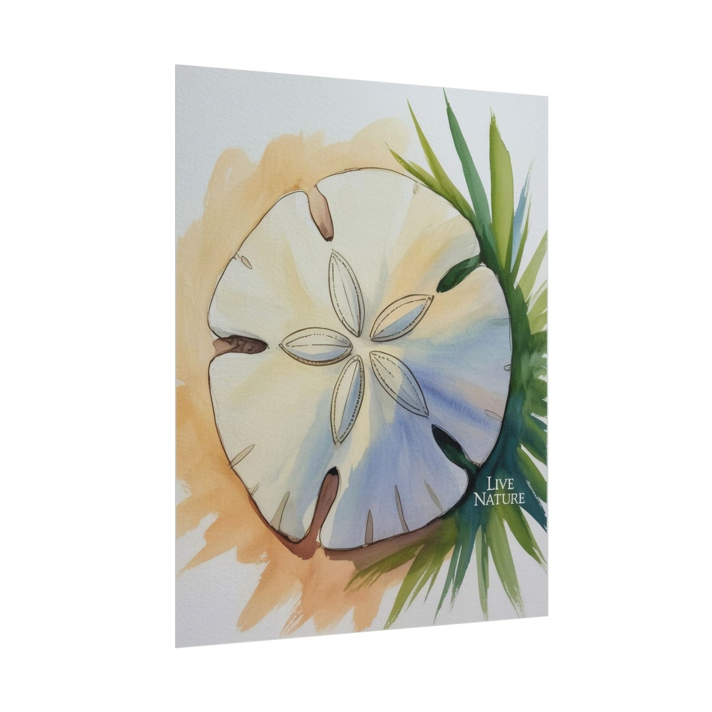 Sand Dollar Watercolor Print with 'Live Nature' Text