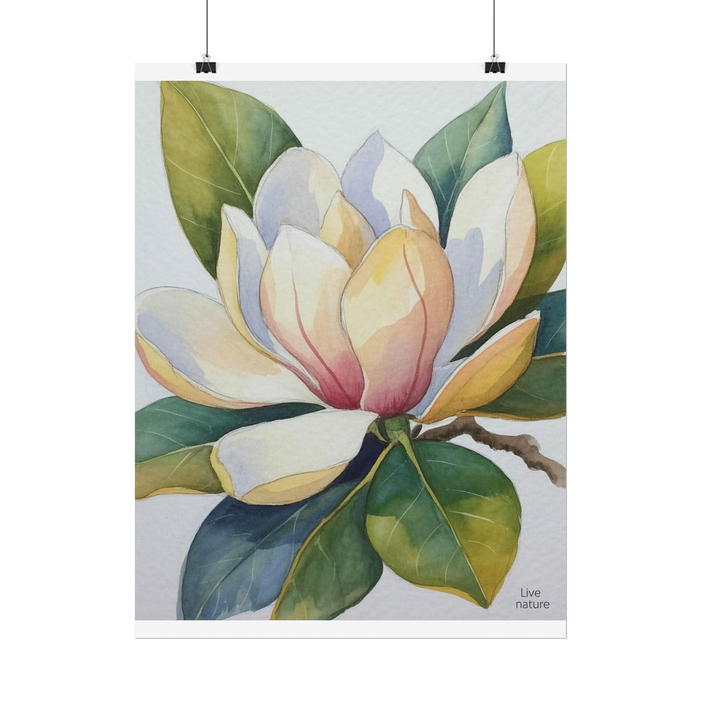 Magnolia Blossom Watercolor Print Fine Art Poster