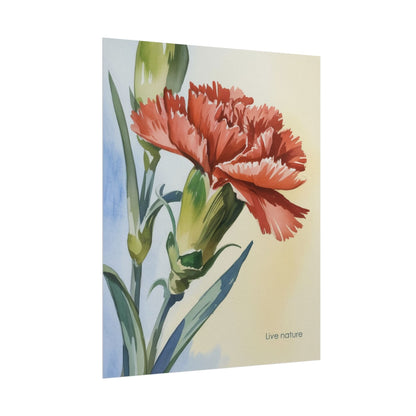 Scarlet Carnation Watercolor Art Print 'Live Nature