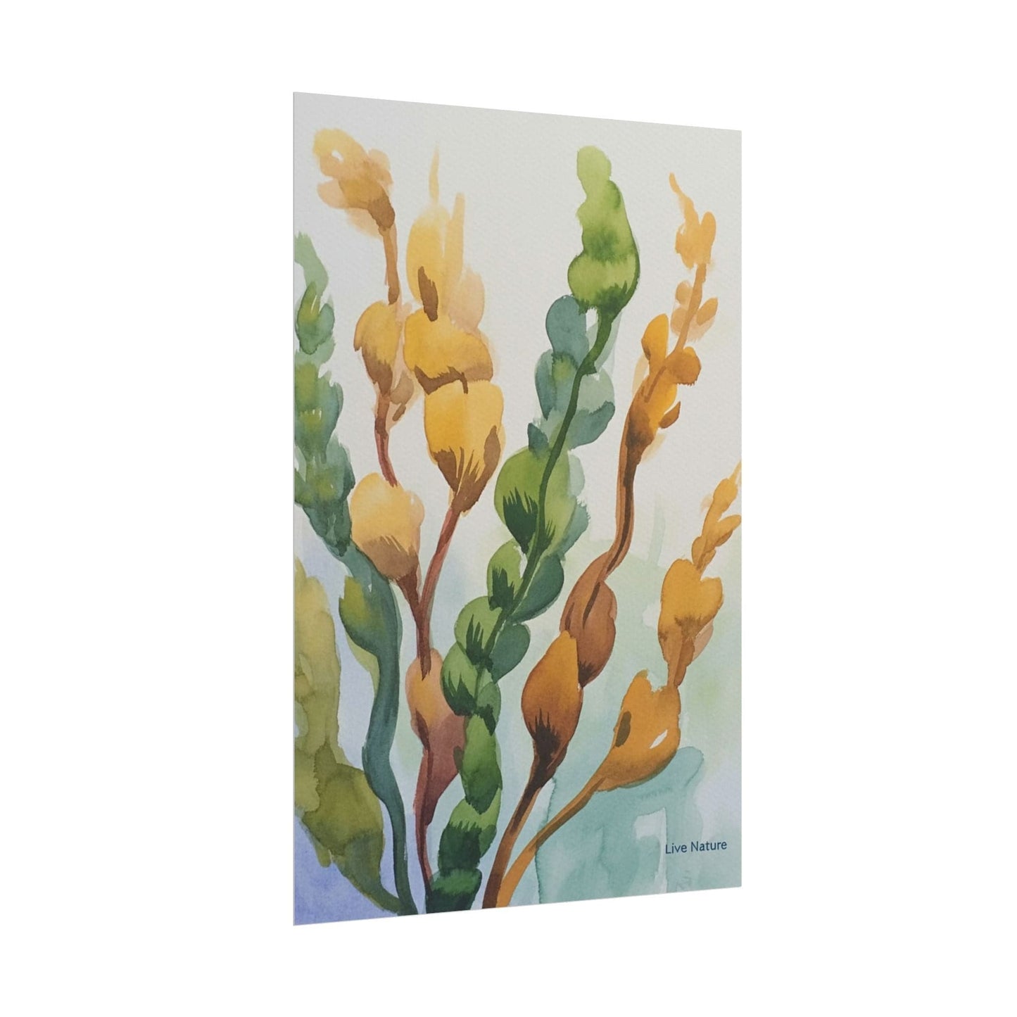 Seaweed Watercolor Art Print Coastal Nature Design