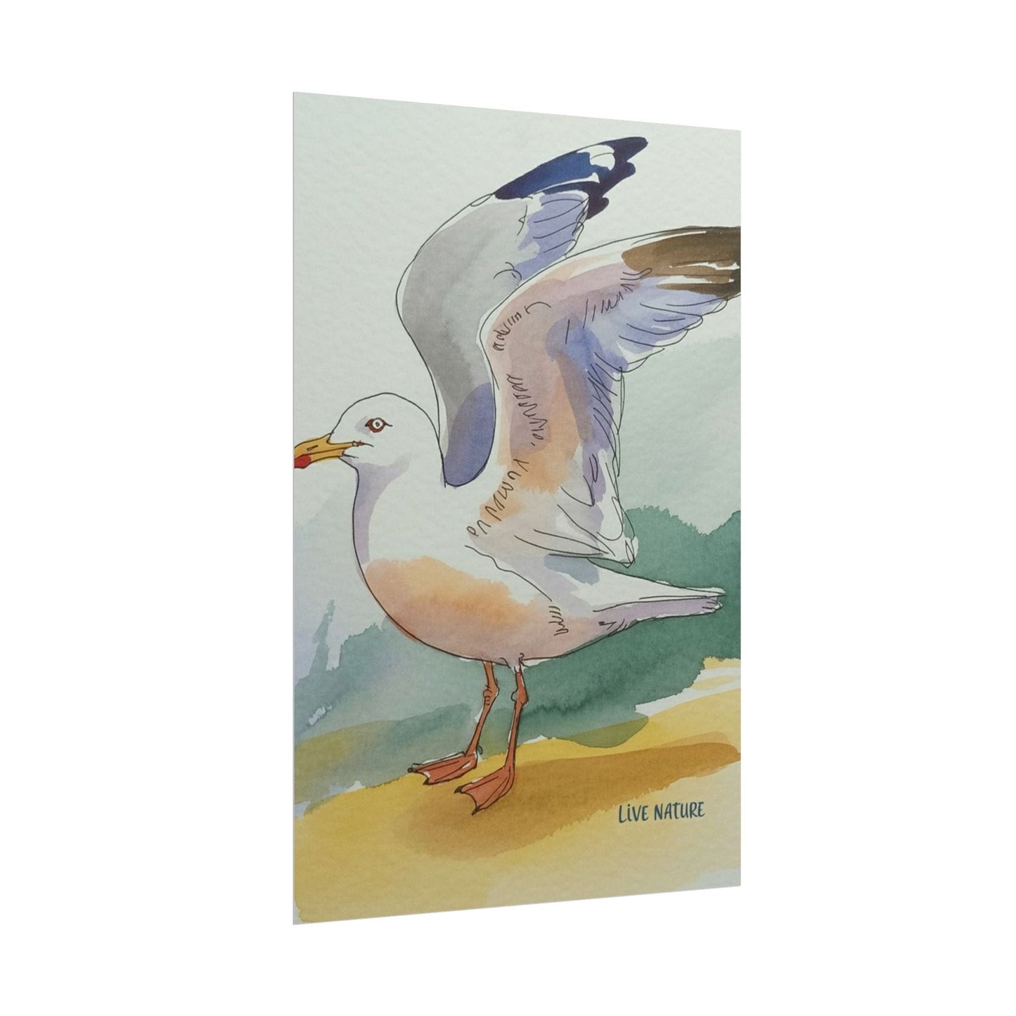 Seagull Watercolor Art Print 'Live Nature' Edition