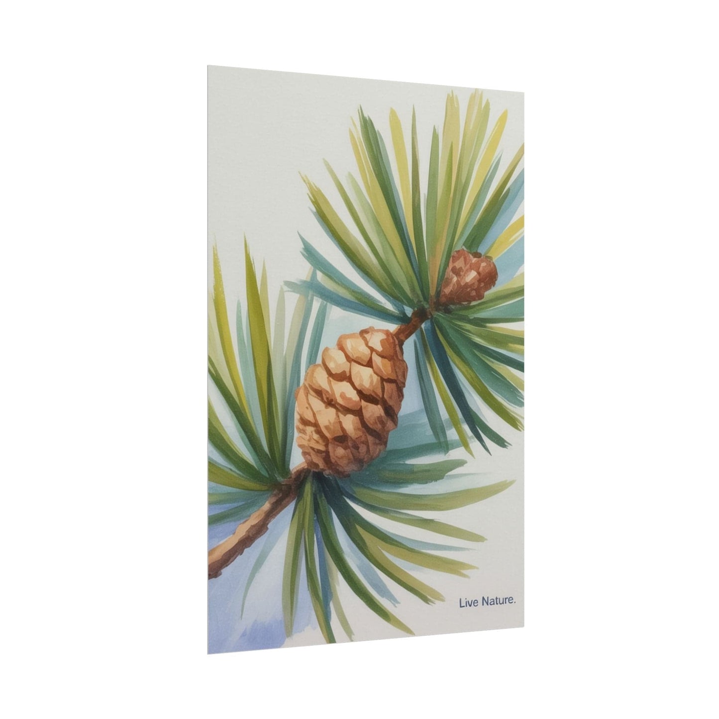 Maine Pine Cone Watercolor Print - Live Nature Art