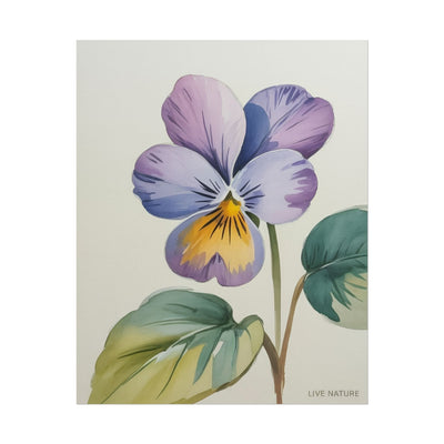 Wisconsin Wood Violet Watercolor Print – State Flower Art