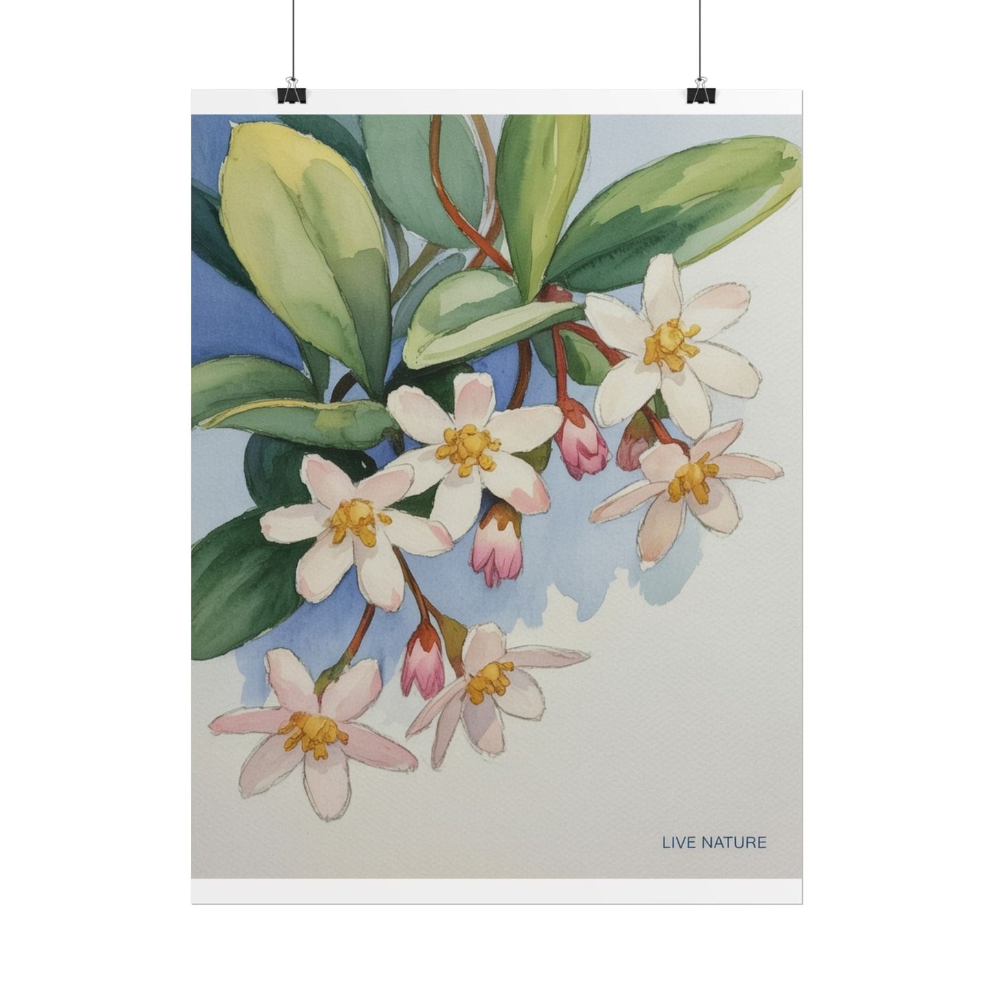 Mayflower Botanical Watercolor Art Print 'Live Nature