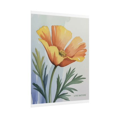 California Poppy Watercolor Art Print 'Live Nature