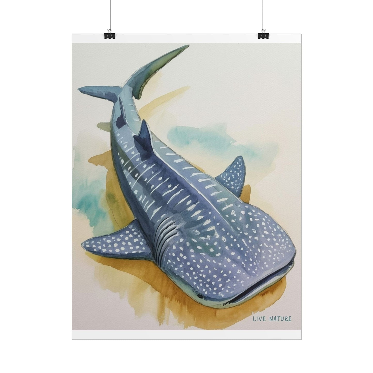 Whale Shark Watercolor Print Live Nature Design