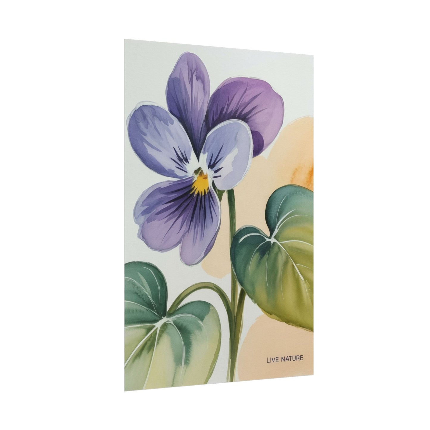 Prairie Violet Botanical Art Print - Live Nature Design