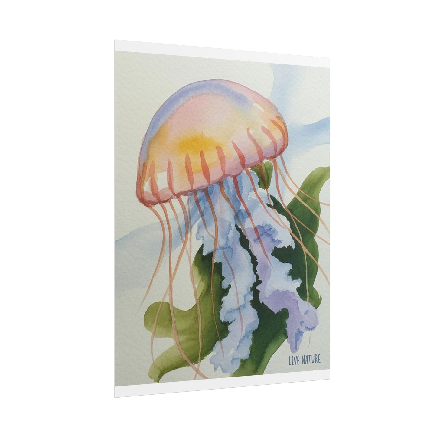 Jellyfish Watercolor Art Print 'Live Nature' Design