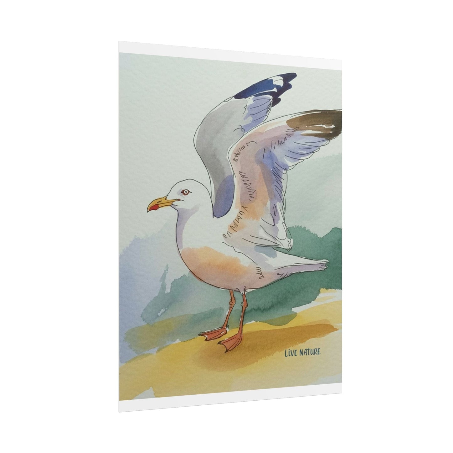 Seagull Watercolor Art Print 'Live Nature' Edition