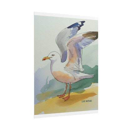 Seagull Watercolor Art Print 'Live Nature' Edition