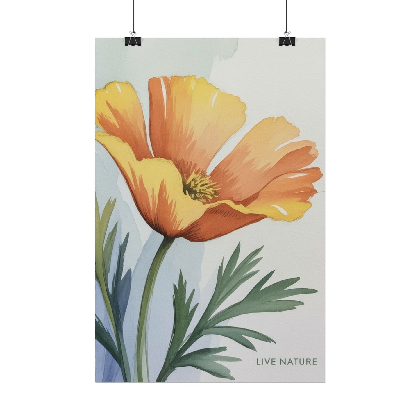 California Poppy Watercolor Art Print 'Live Nature