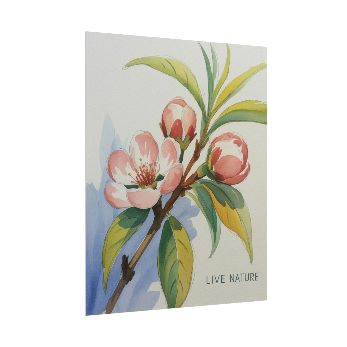 Peach Blossom Live Nature Art Print Poster