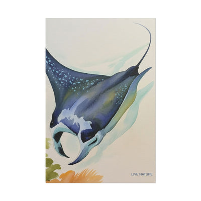 Manta Ray Watercolor Art Print 'Live Nature' Design