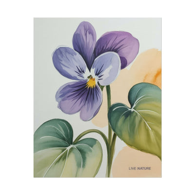 Prairie Violet Botanical Art Print - Live Nature Design