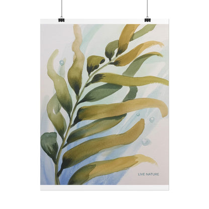 Live Nature Kelp Watercolor Print Poster