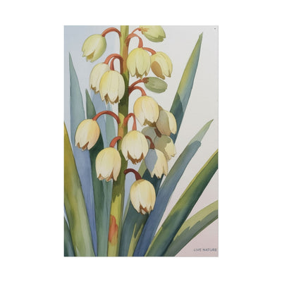 Yucca Bloom Watercolor Print Live Nature Collection