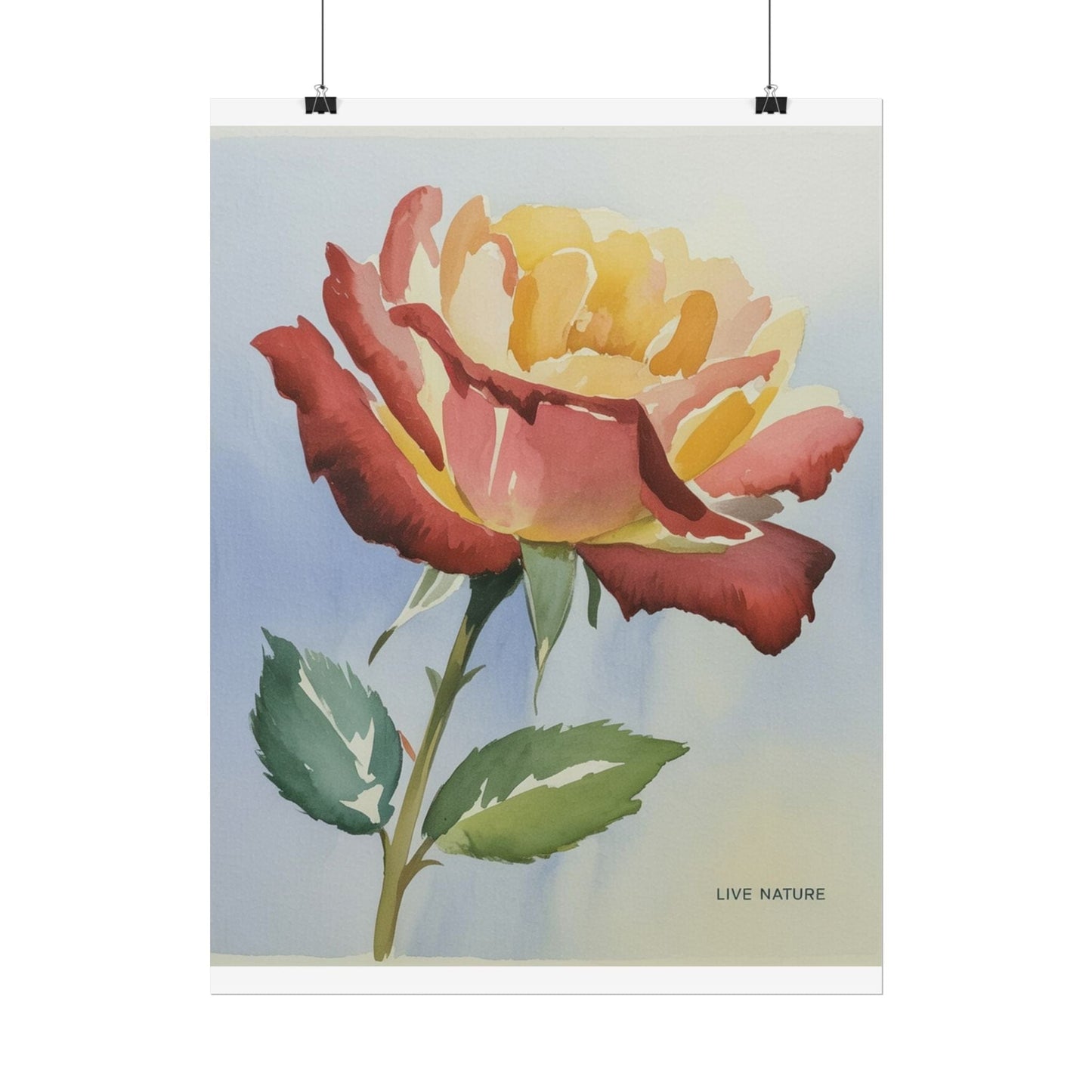 New York State Rose Watercolor Art Print