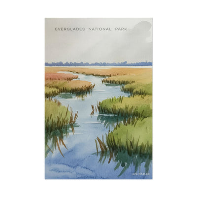 Everglades National Park Watercolor Poster Print