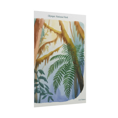 Olympic National Park Watercolor Forest Poster