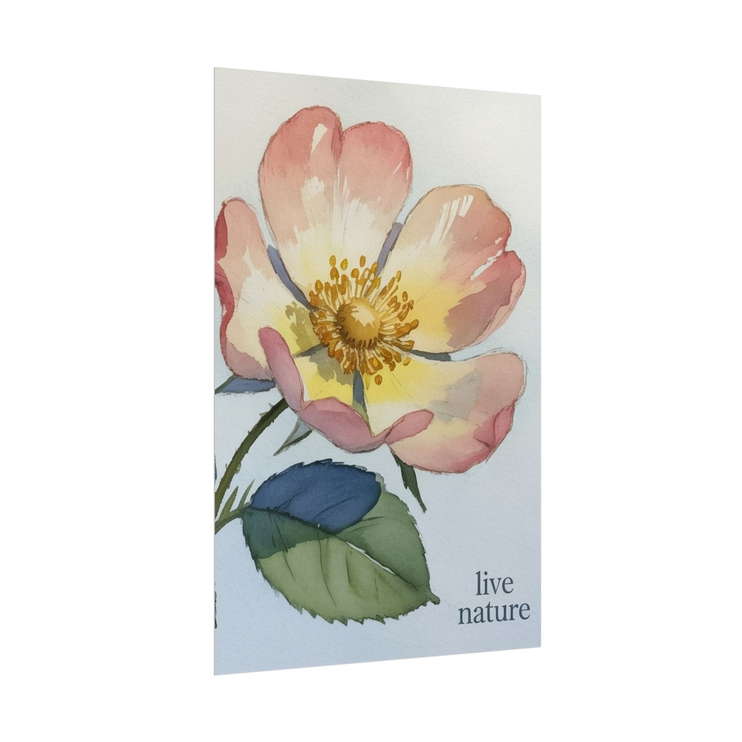 Wild Prairie Rose Watercolor Print with 'Live Nature' Text