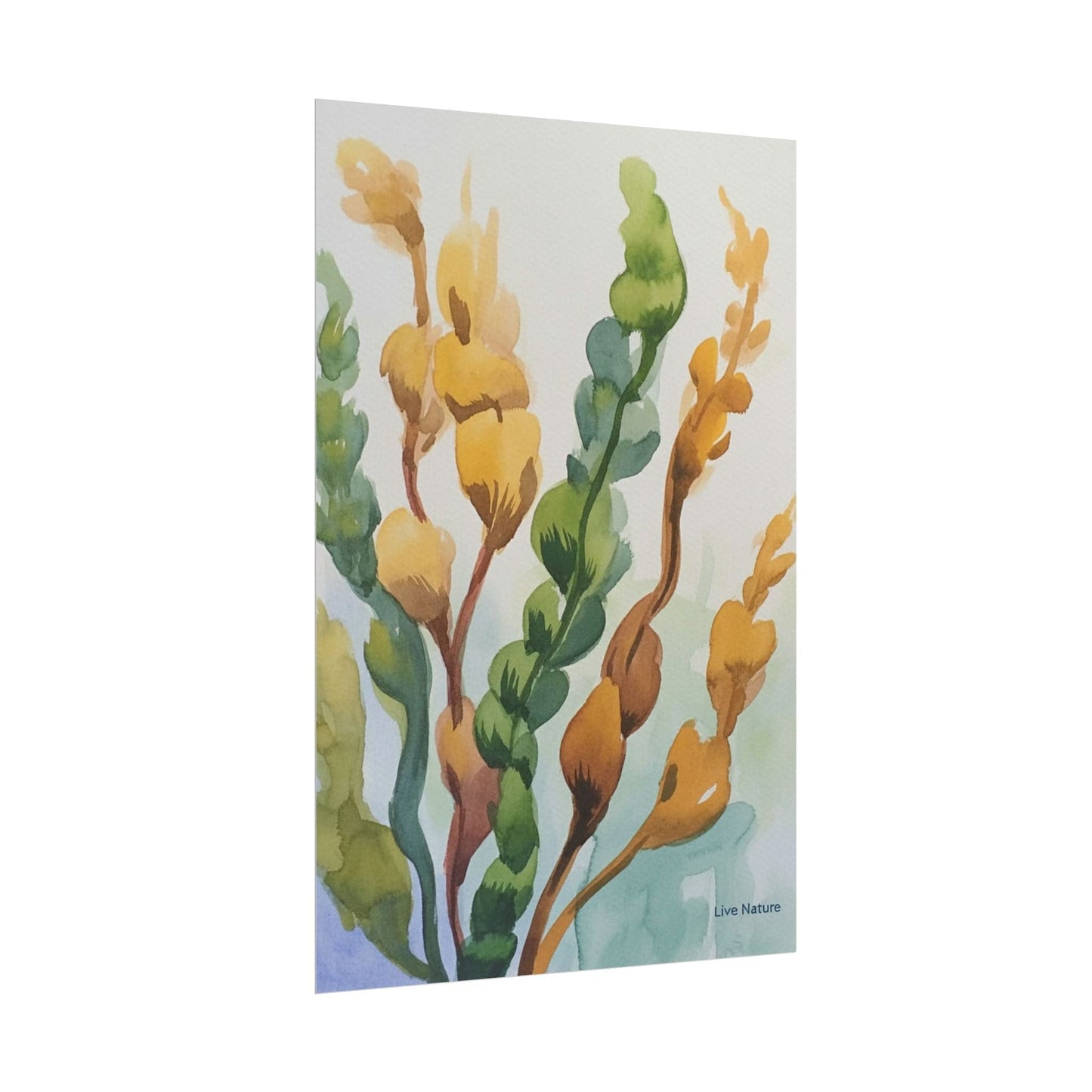 Seaweed Watercolor Art Print Coastal Nature Design