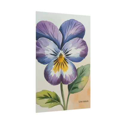 Purple Pansy Watercolor Poster Art Print - Live Nature