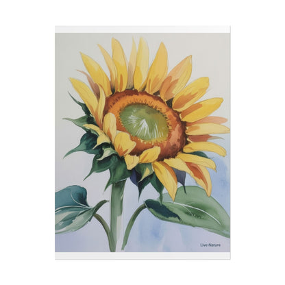 Kansas Sunflower Watercolor Art Print 'Live Nature