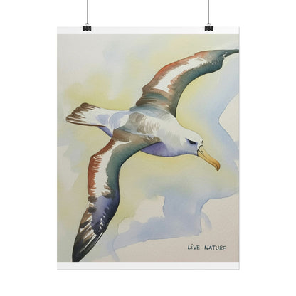 Albatross Watercolor Art Print - Live Nature Design