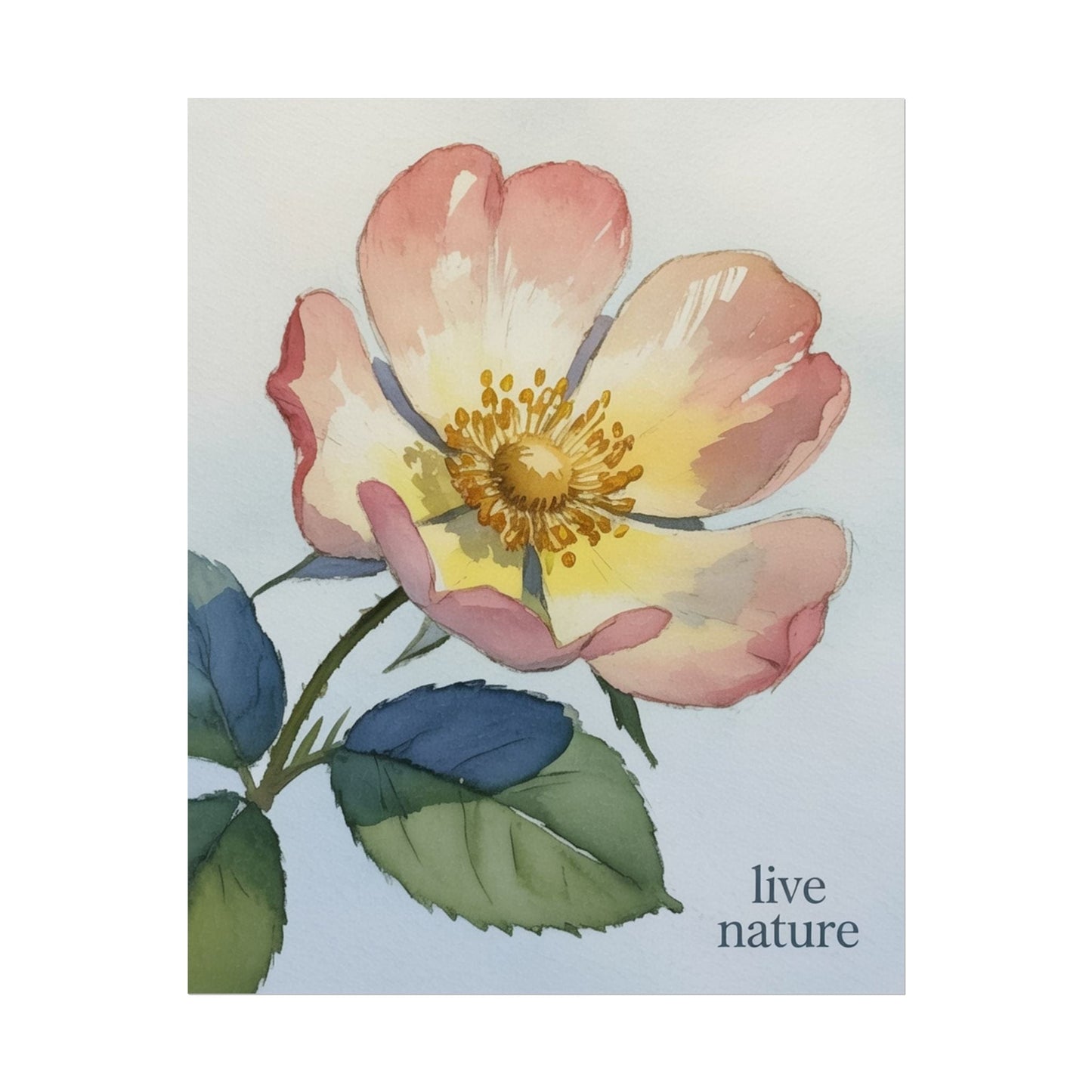 Wild Prairie Rose Watercolor Print with 'Live Nature' Text