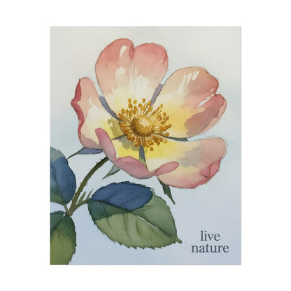 Wild Prairie Rose Watercolor Print with 'Live Nature' Text