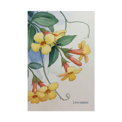 Yellow Jessamine Watercolor Art Print 'Live Nature
