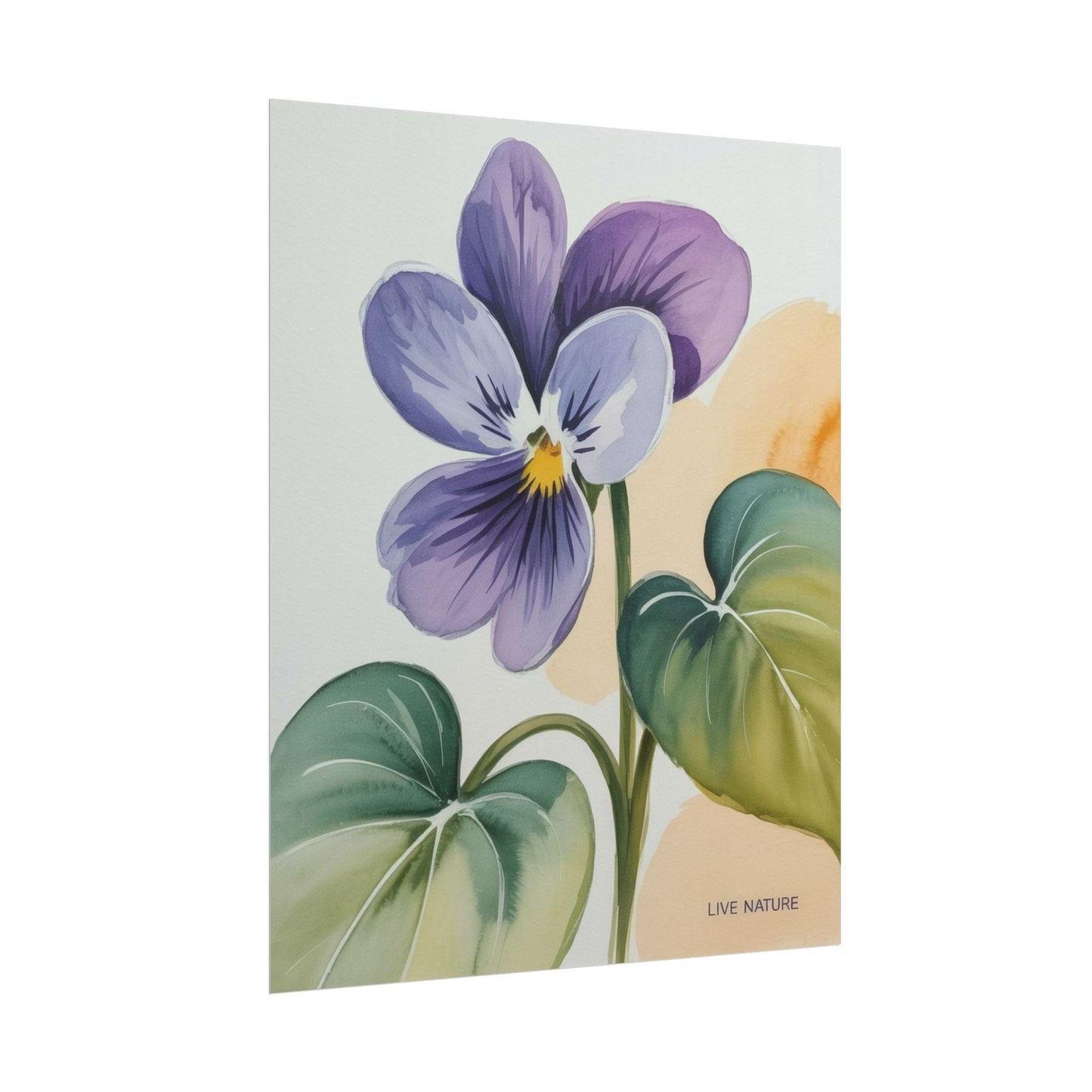 Prairie Violet Botanical Art Print - Live Nature Design