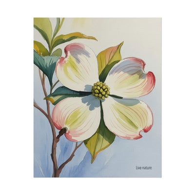 North Carolina Dogwood Watercolor Art Print