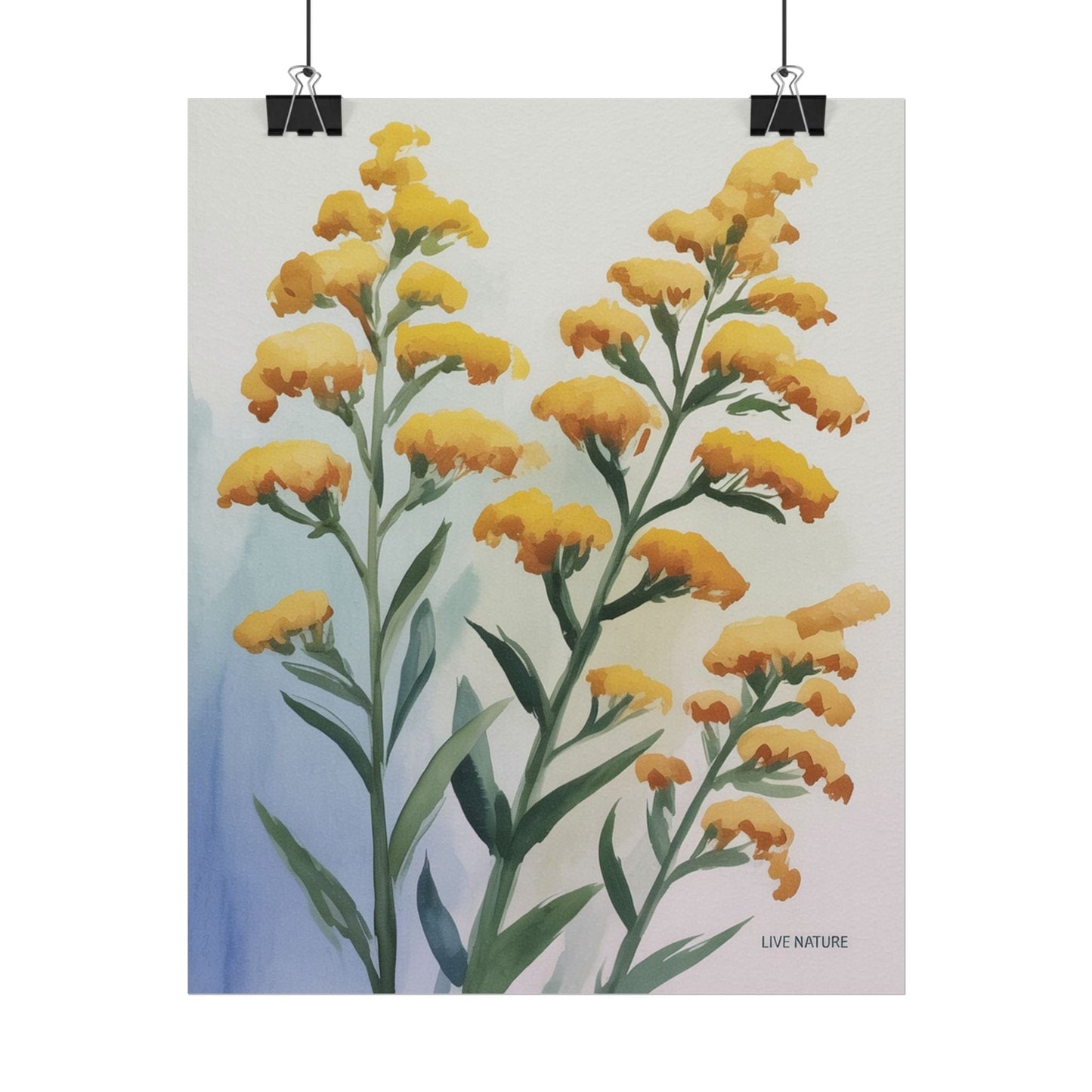Goldenrod Watercolor Botanical Art Print 'Live Nature