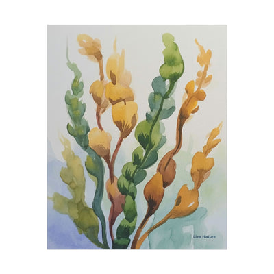 Seaweed Watercolor Art Print Coastal Nature Design