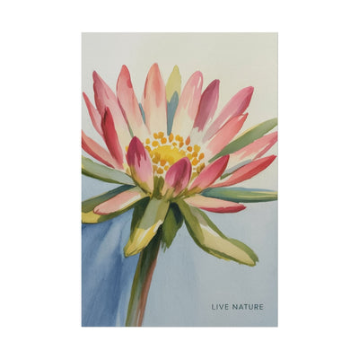 Bitterroot Flower Watercolor Print 'Live Nature
