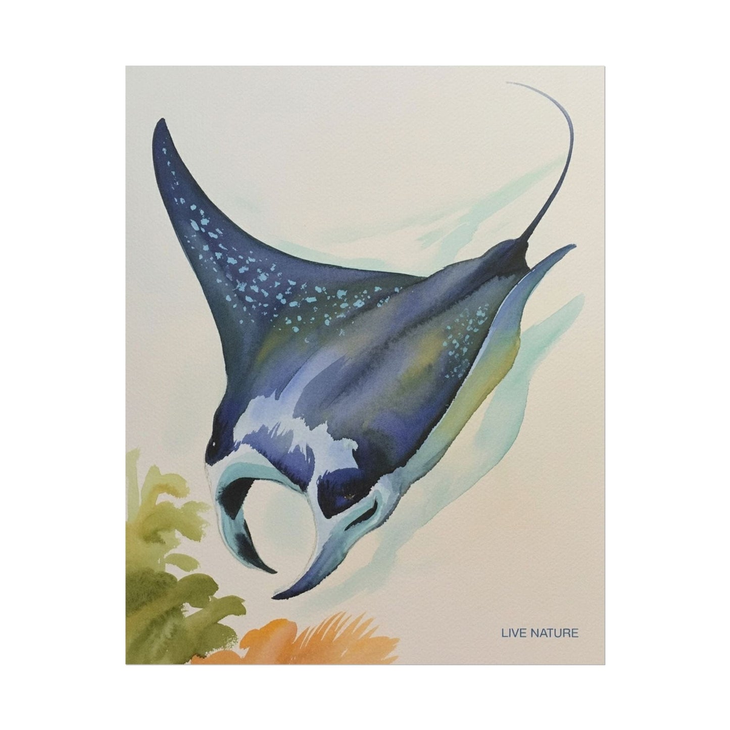 Manta Ray Watercolor Art Print 'Live Nature' Design