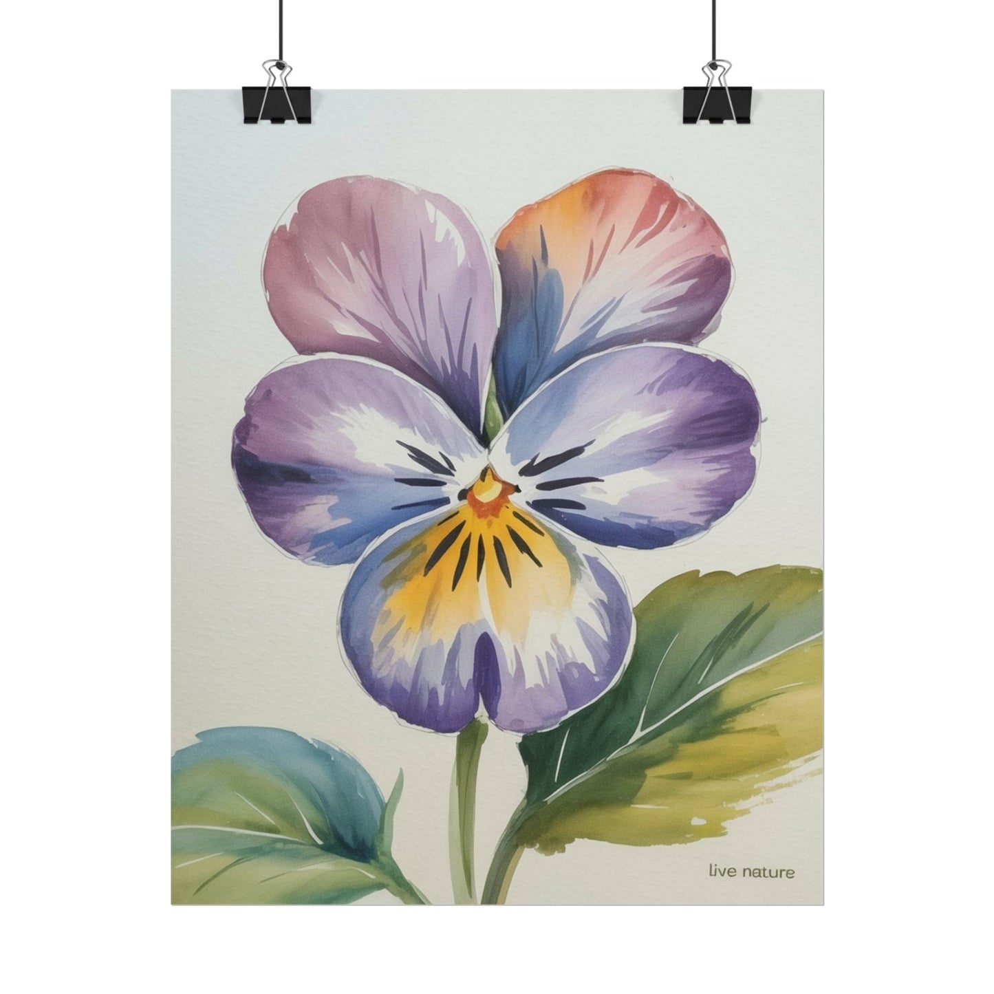 Violet Pansy Watercolor Art Print - Live Nature Design