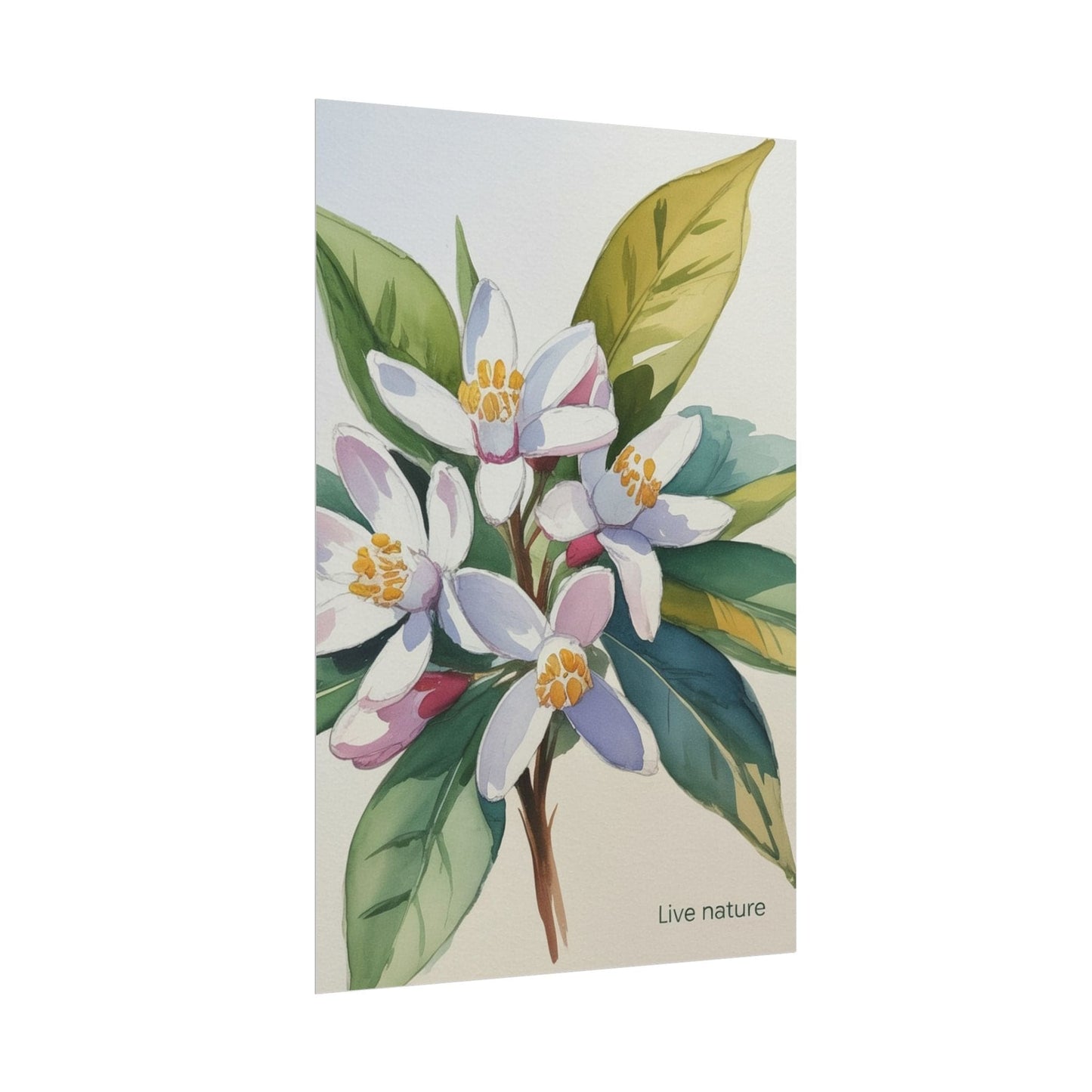 Orange Blossom Floral Watercolor Print 'Live Nature