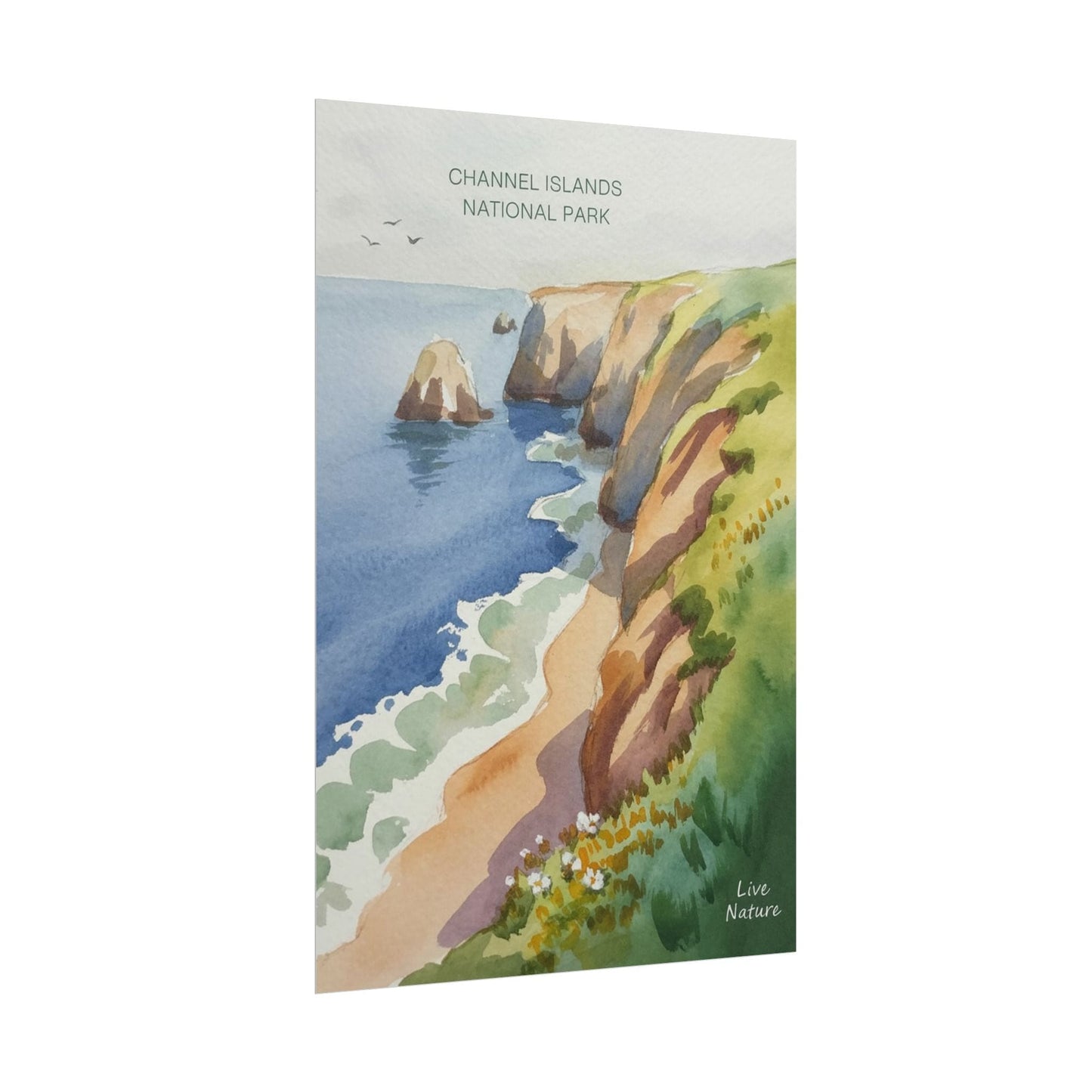 Channel Islands National Park Watercolor Poster Print
