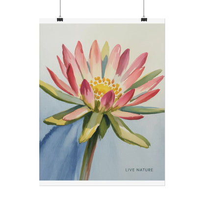 Bitterroot Flower Watercolor Print 'Live Nature