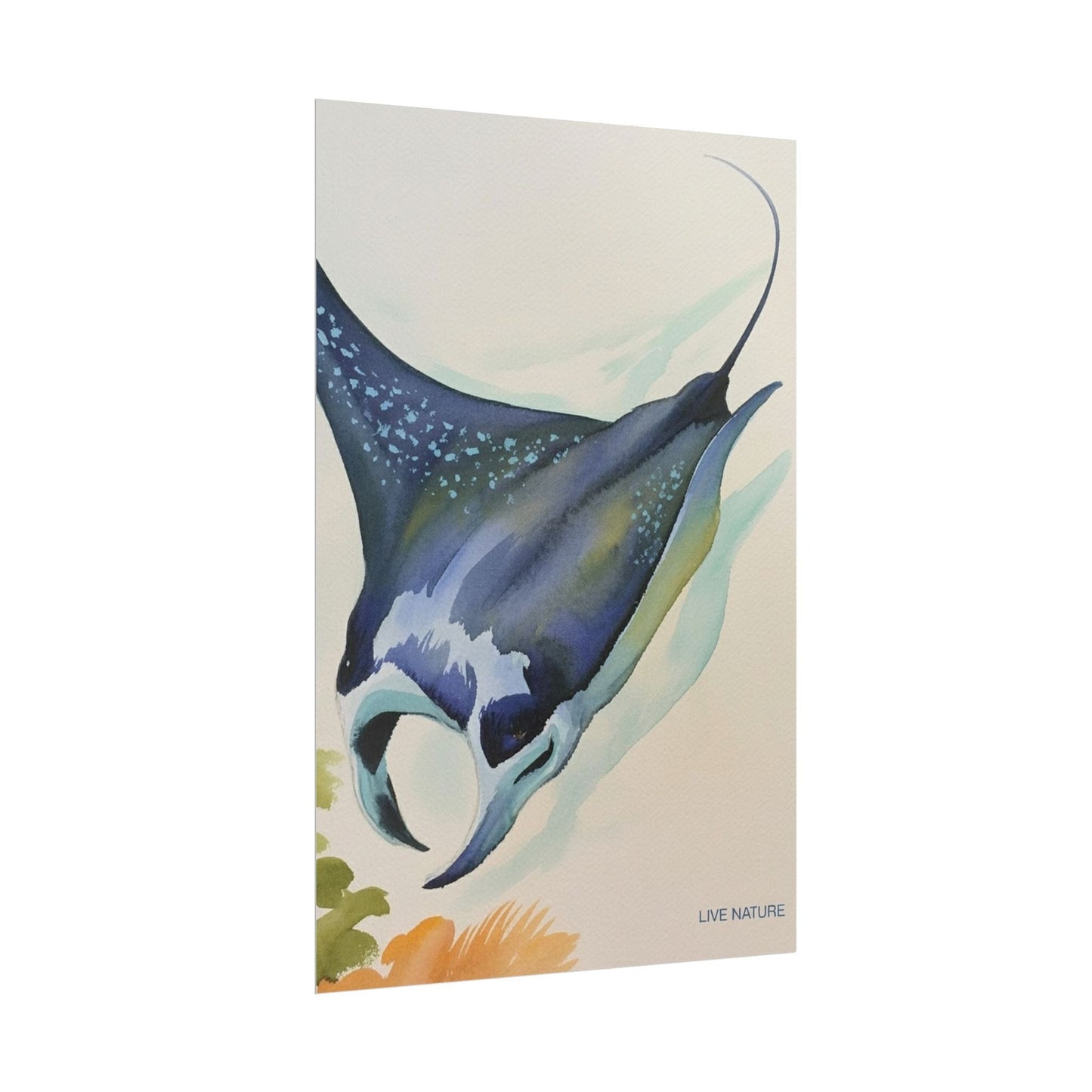 Manta Ray Watercolor Art Print 'Live Nature' Design